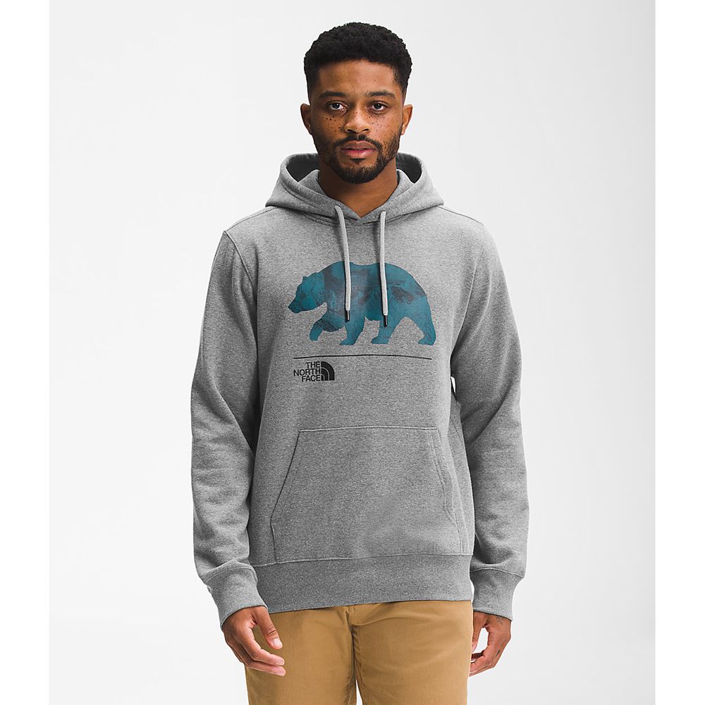 The North Face Pullover Mens Australia - The North Face Bearscape Grey (ZRQ-689203)